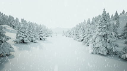 大雪纷飞的树林