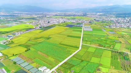 4K农村农业农田航拍视频素材