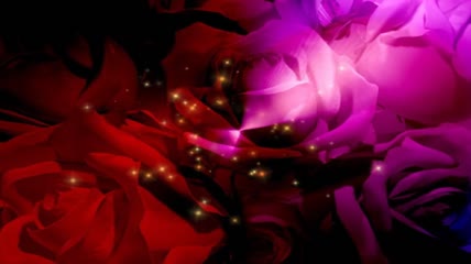 婚庆动感玫瑰花瓣LED视频(含音乐)