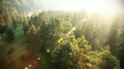 空拍森林穿梭阳光光线