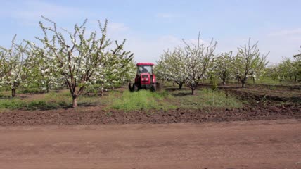 农用工具车从樱桃园驶出实拍视频