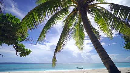 海岛边椰树旅游宣传片视频素材