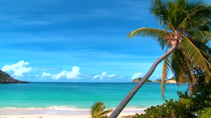 碧海蓝天椰树海滩视频素材