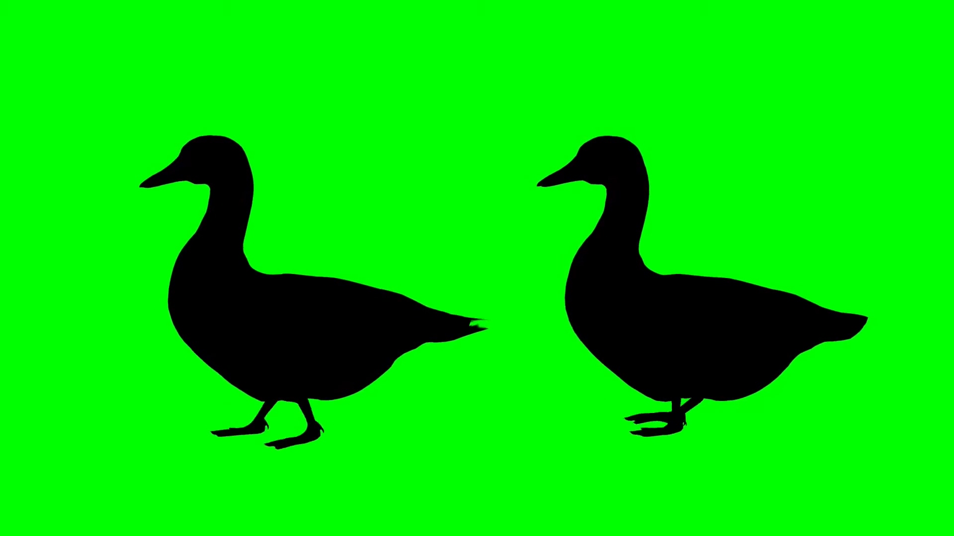 绿屏抠像鸭子剪影