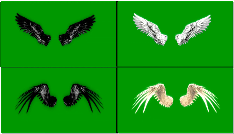 绿屏抠像天使恶魔翅膀