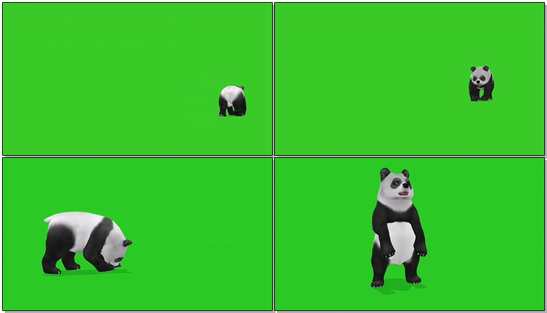 绿屏抠像大熊猫