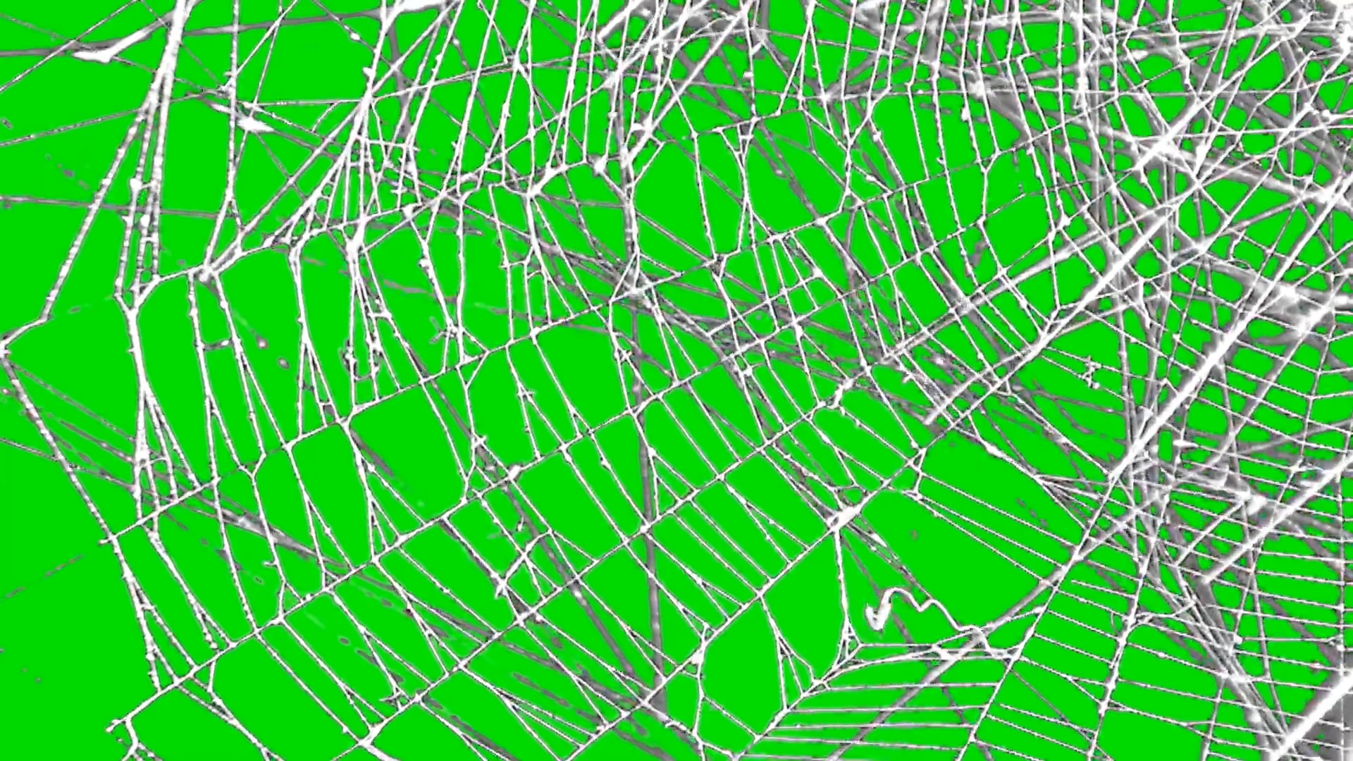 绿屏抠像蜘蛛网