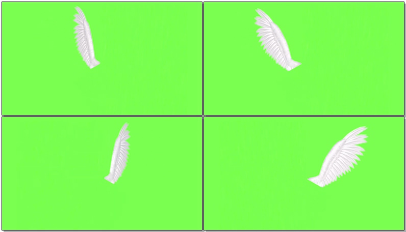 绿屏抠像天使翅膀