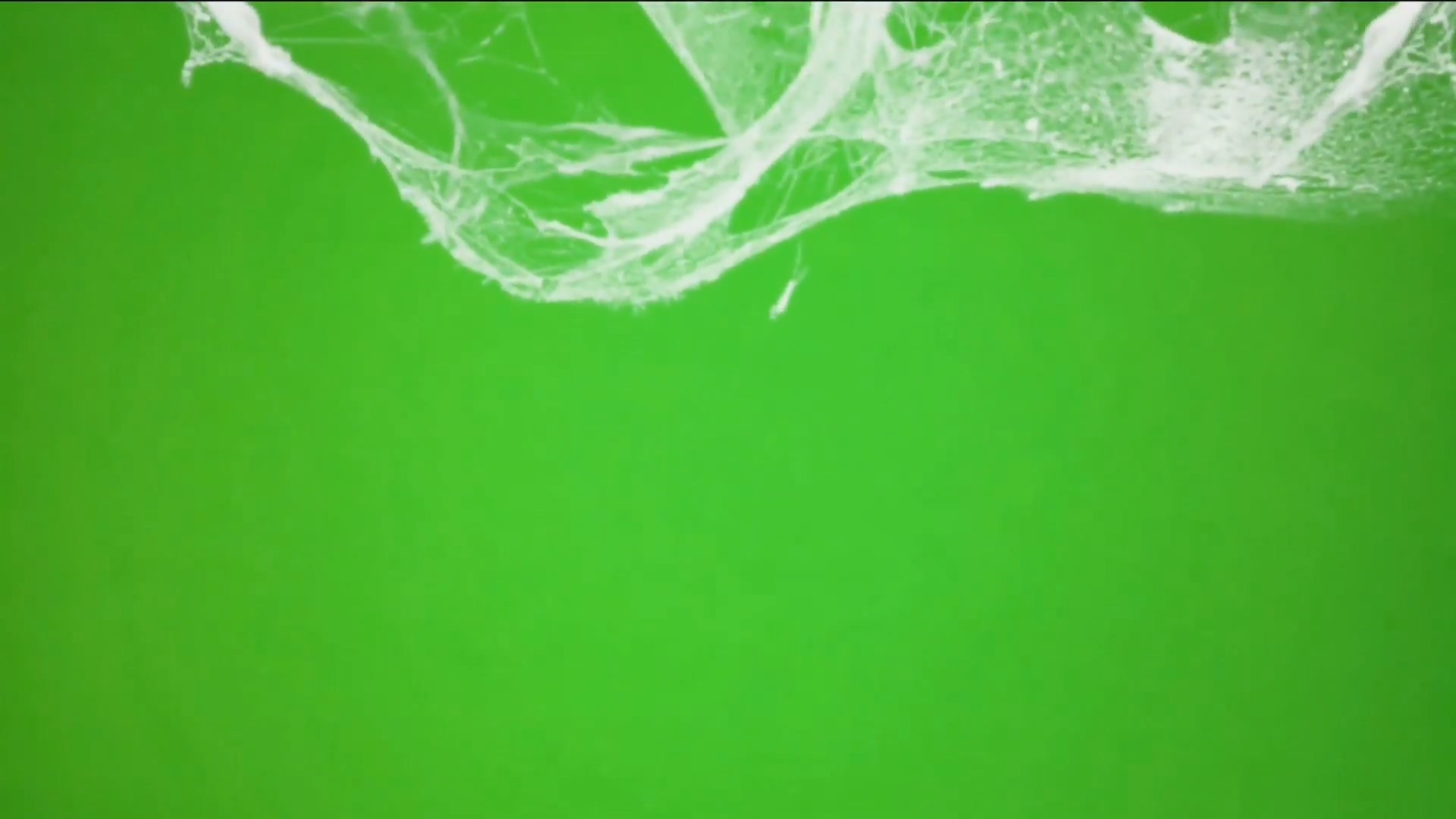 绿屏抠像陈旧的蜘蛛网