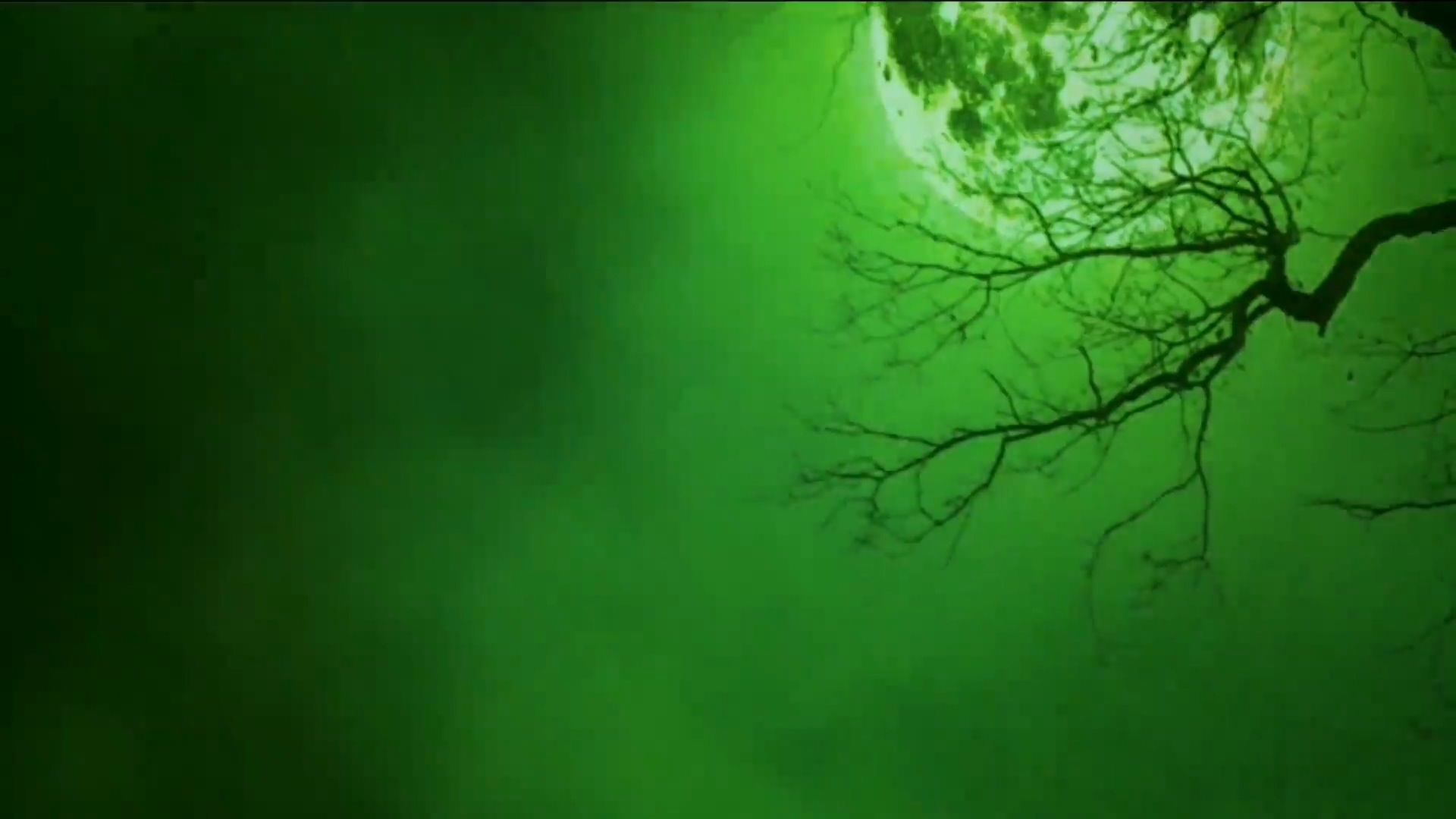 绿屏抠像恐怖满月夜晚