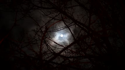 午夜朦胧月色视频素材