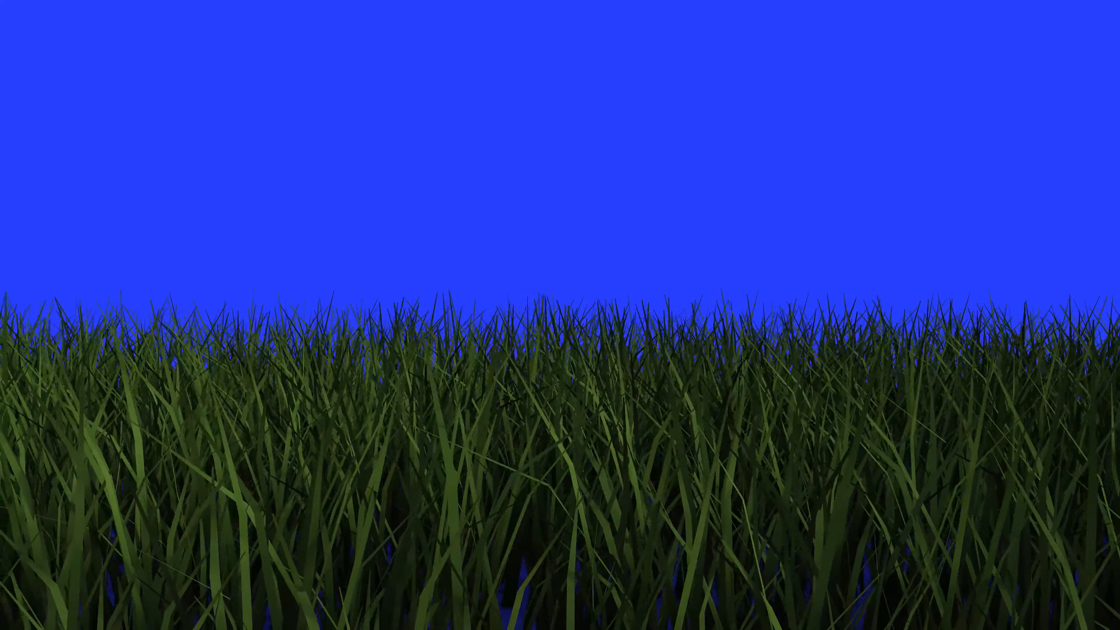 [4K]绿屏幕抠像绿草地