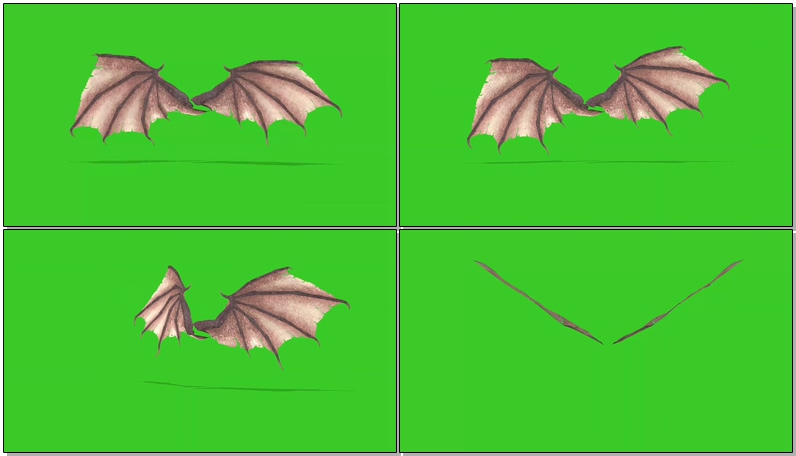 绿屏幕抠像蝙蝠翅膀