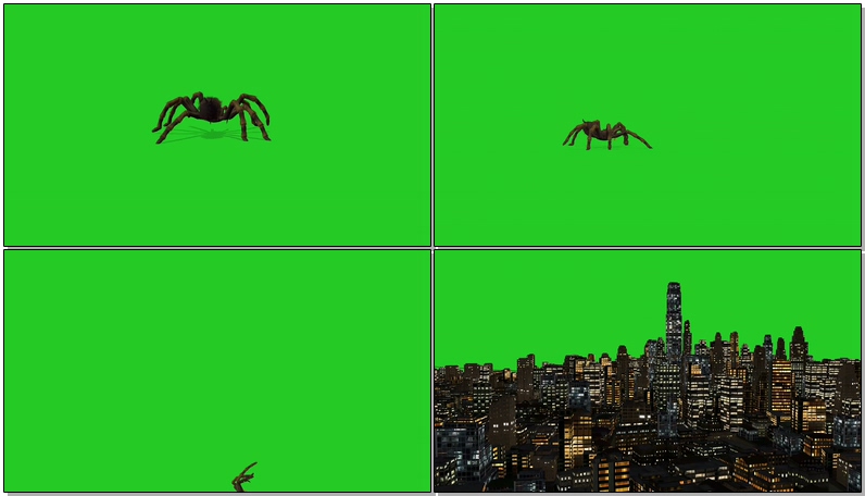 绿屏幕抠像巨型蜘蛛