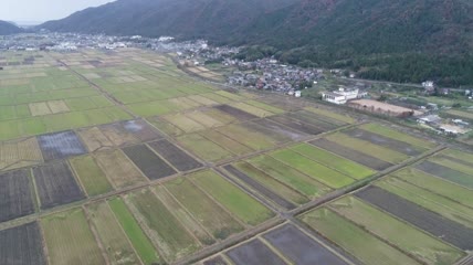 日本农田航拍
