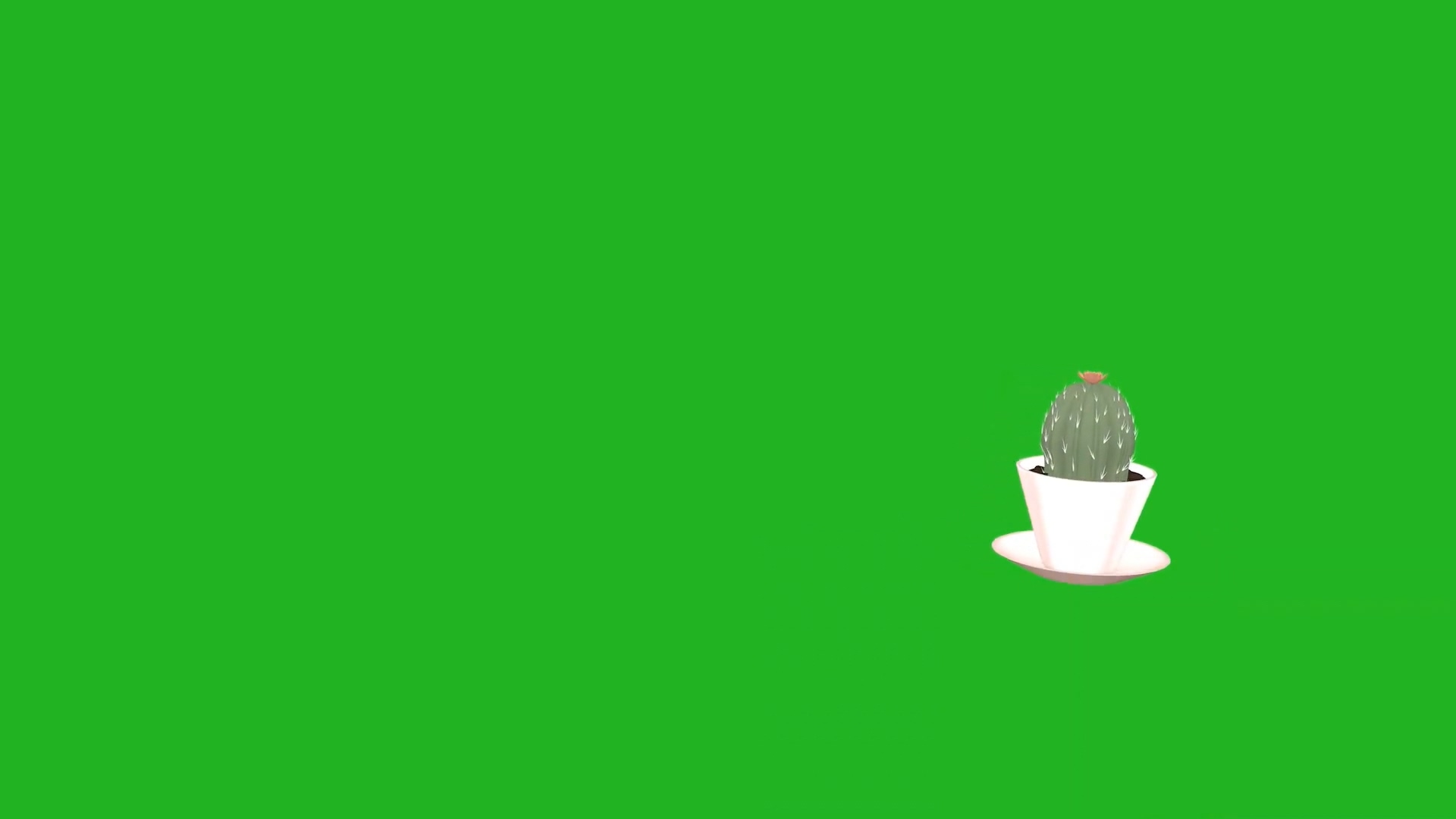 绿屏抠像视频素材仙人掌