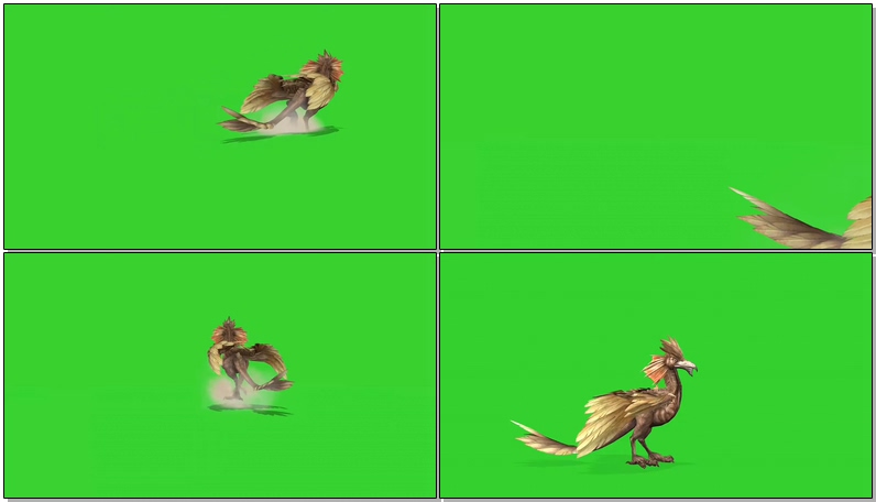 绿幕视频素材远古鸟类恐龙