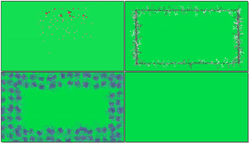 绿幕视频素材花卉