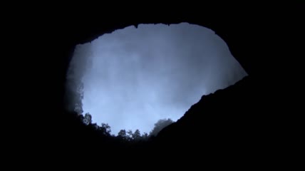 山洞洞穴中居住的蝙蝠群