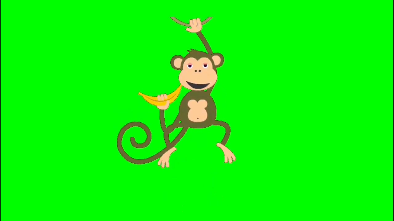 绿幕视频素材猴子