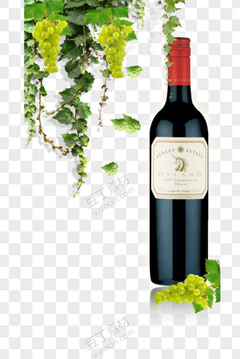 葡萄藤法国红酒