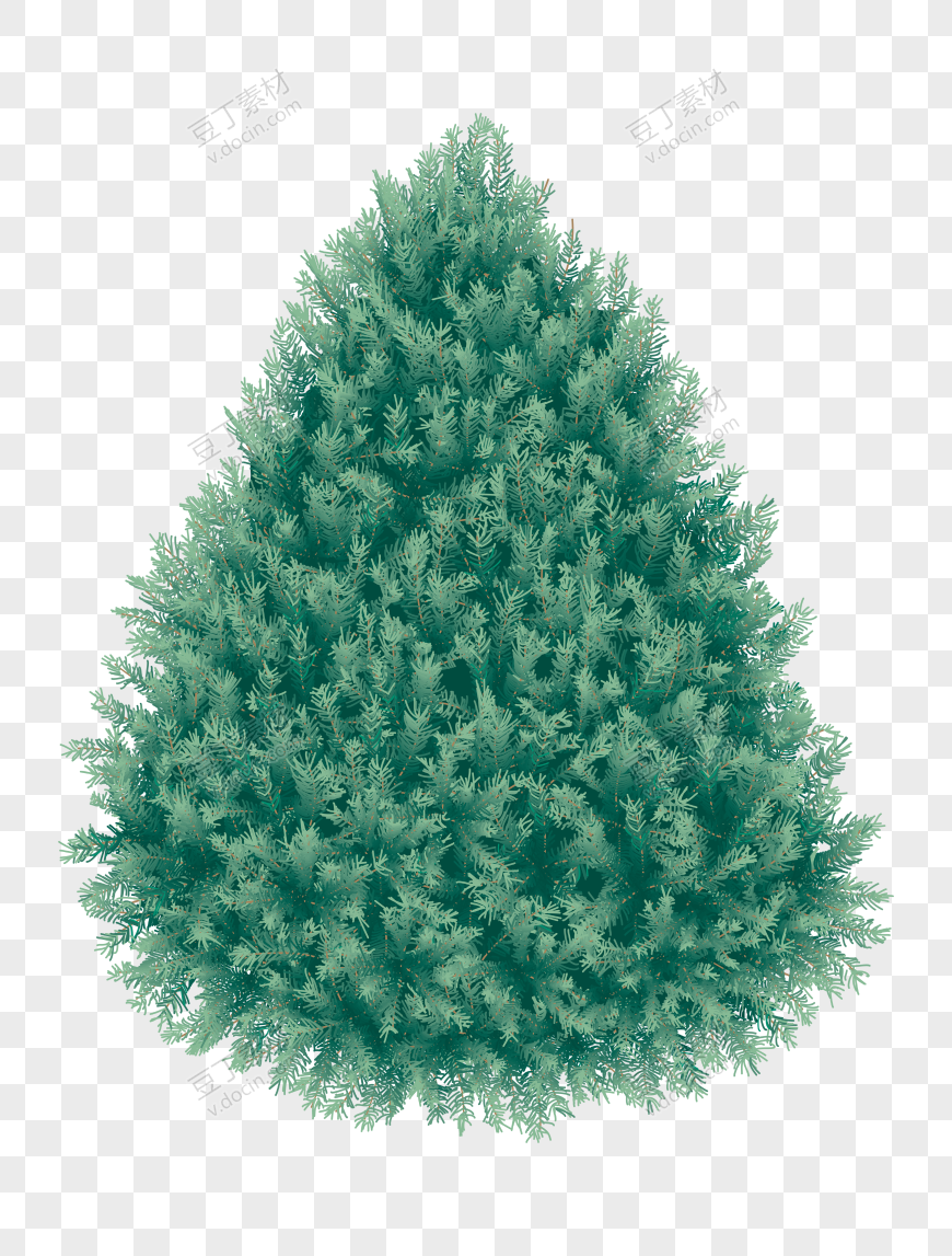 圣诞节绿色松树