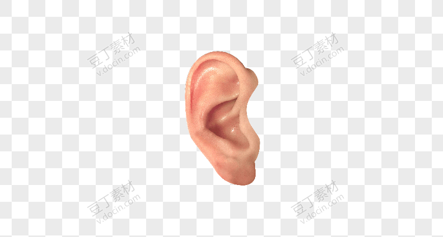左耳耳朵图案