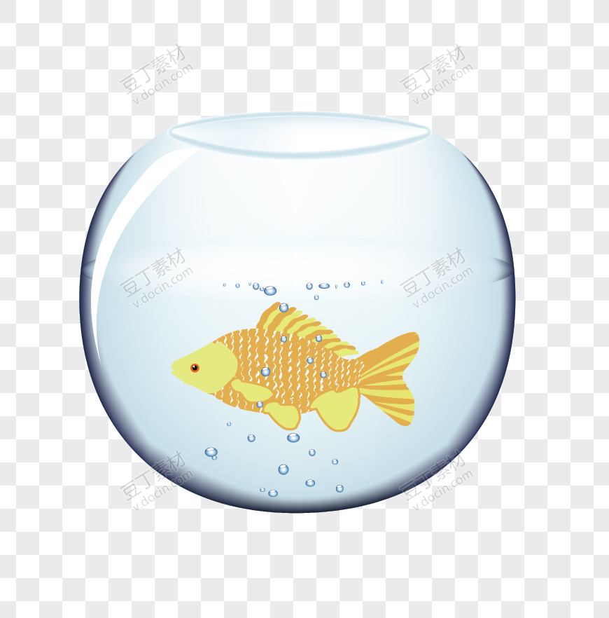圆形小鱼缸绘图
