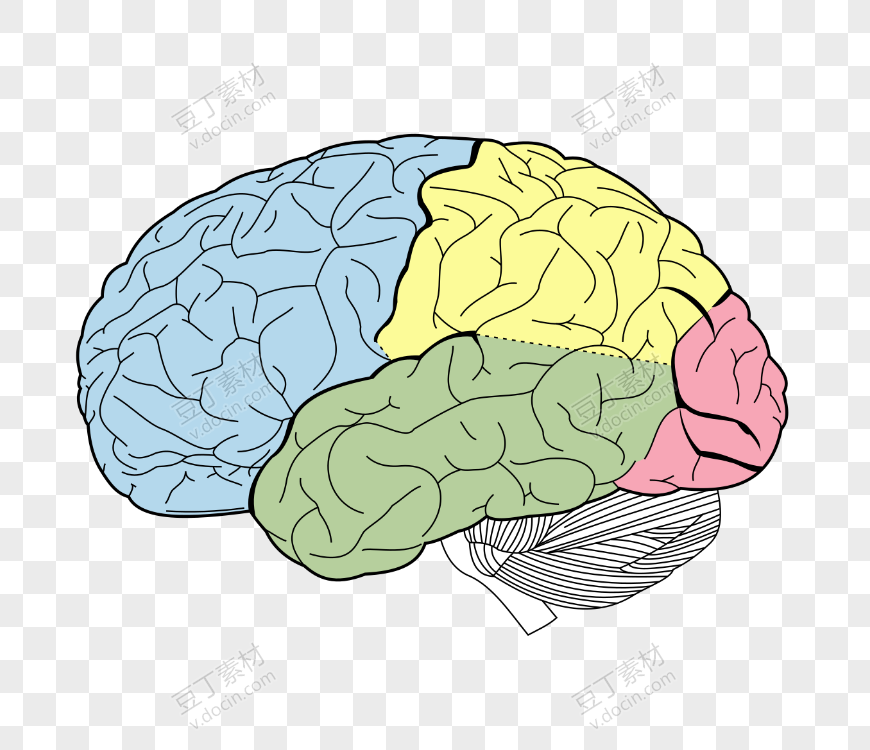 彩色大脑