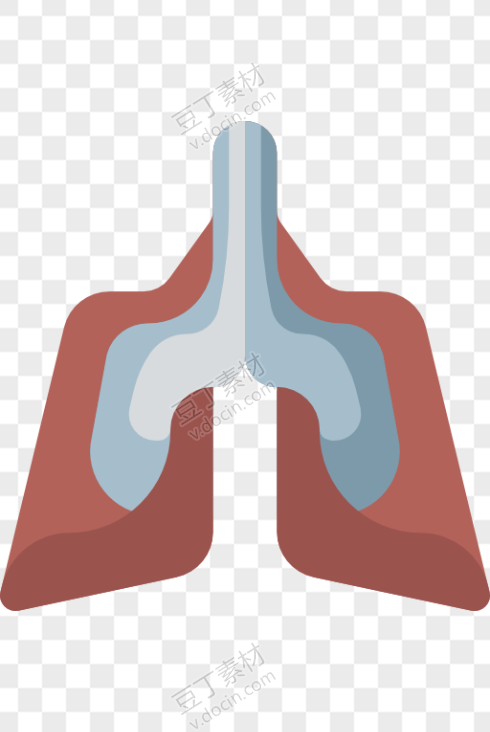 人体的肺形象插画