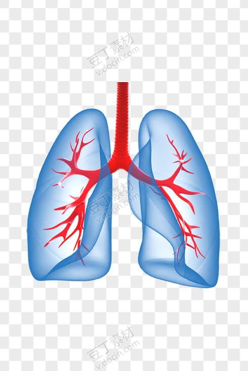 蓝色创意肺部图