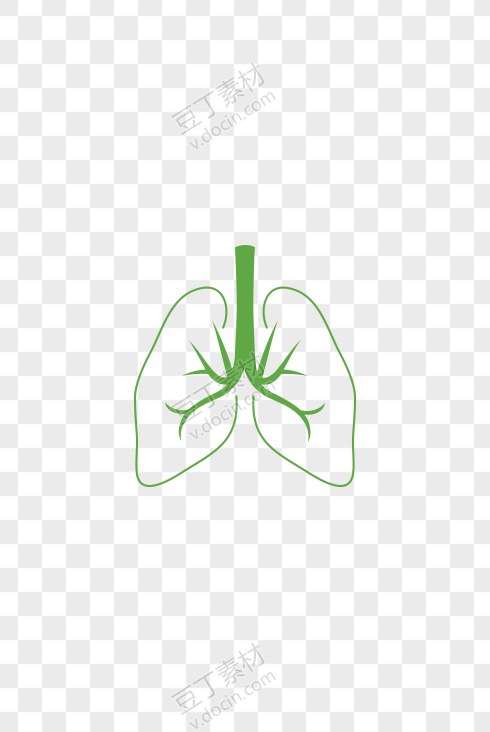 绿色简笔肺部器官