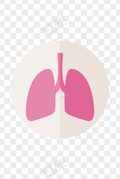 卡通粉嫩肺部器官
