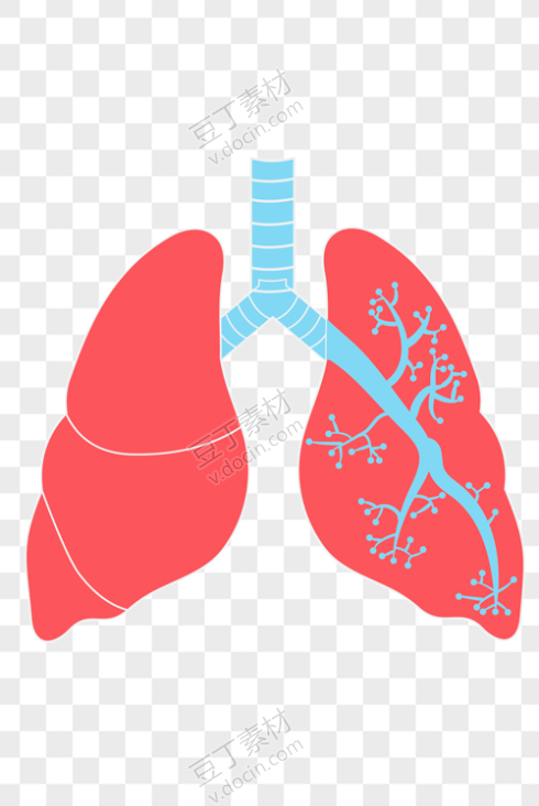 卡通红色器官肺插图