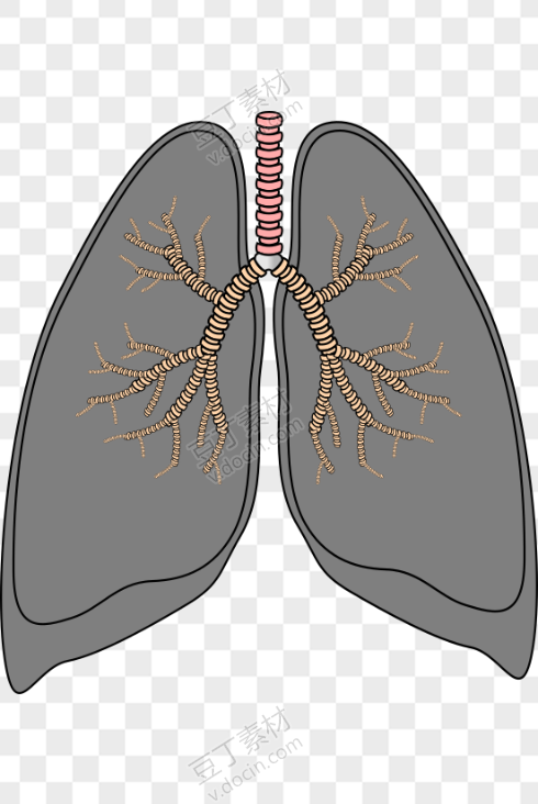 灰色卡通红色器官肺插图