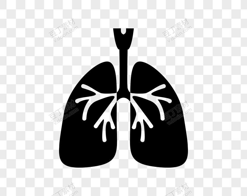 人体肺部素材