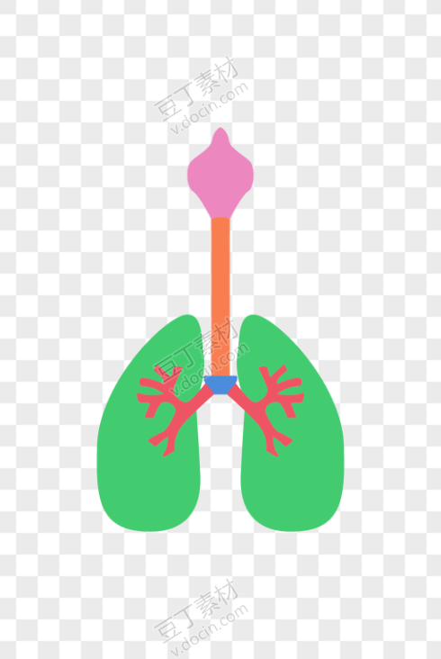 绿色创意人体肺部