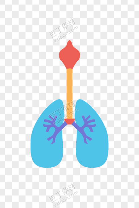 蓝色创意人体肺部