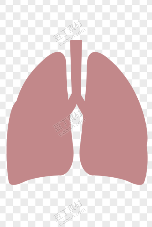 卡通人体肺部
