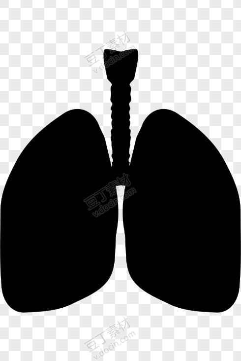 肺部卡通矢量图