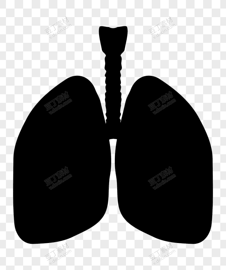 肺部卡通矢量图