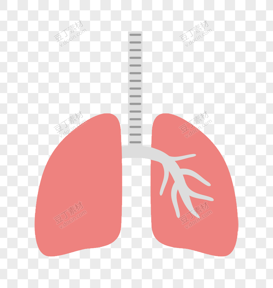 简约粉色卡通人体肺