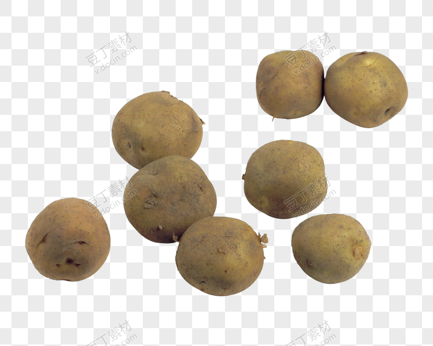 圆土豆