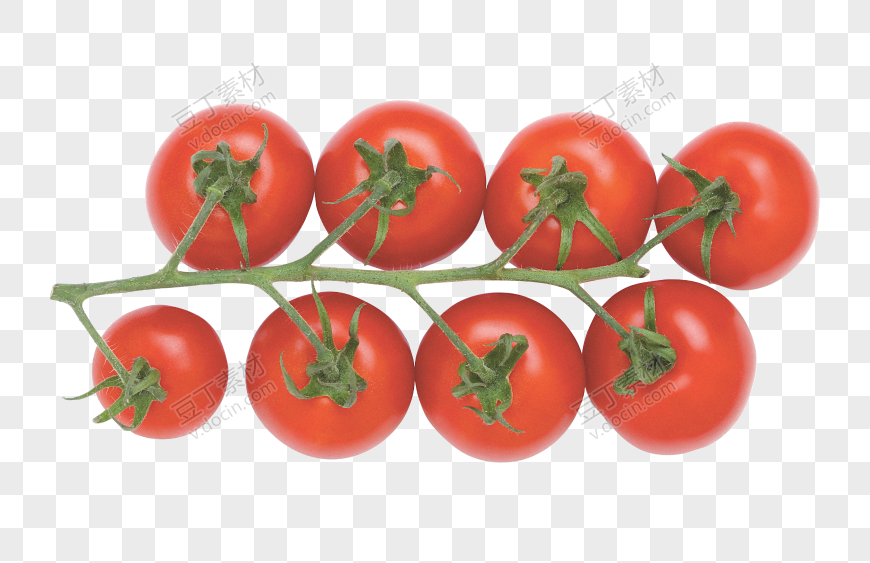 整枝番茄