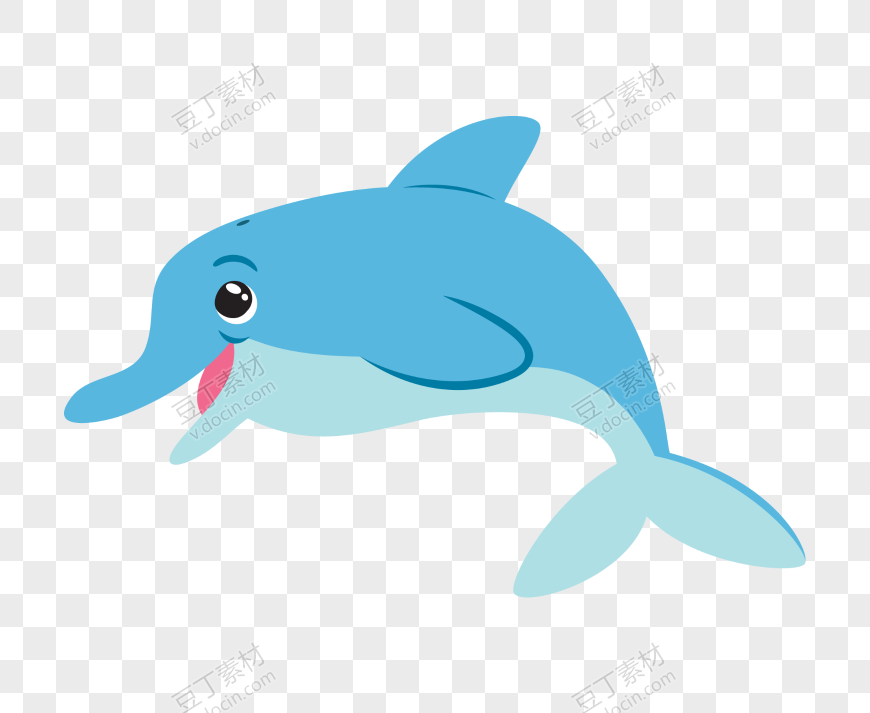 海豚蓝色