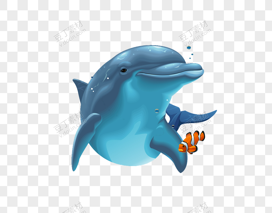 海洋海豚插画