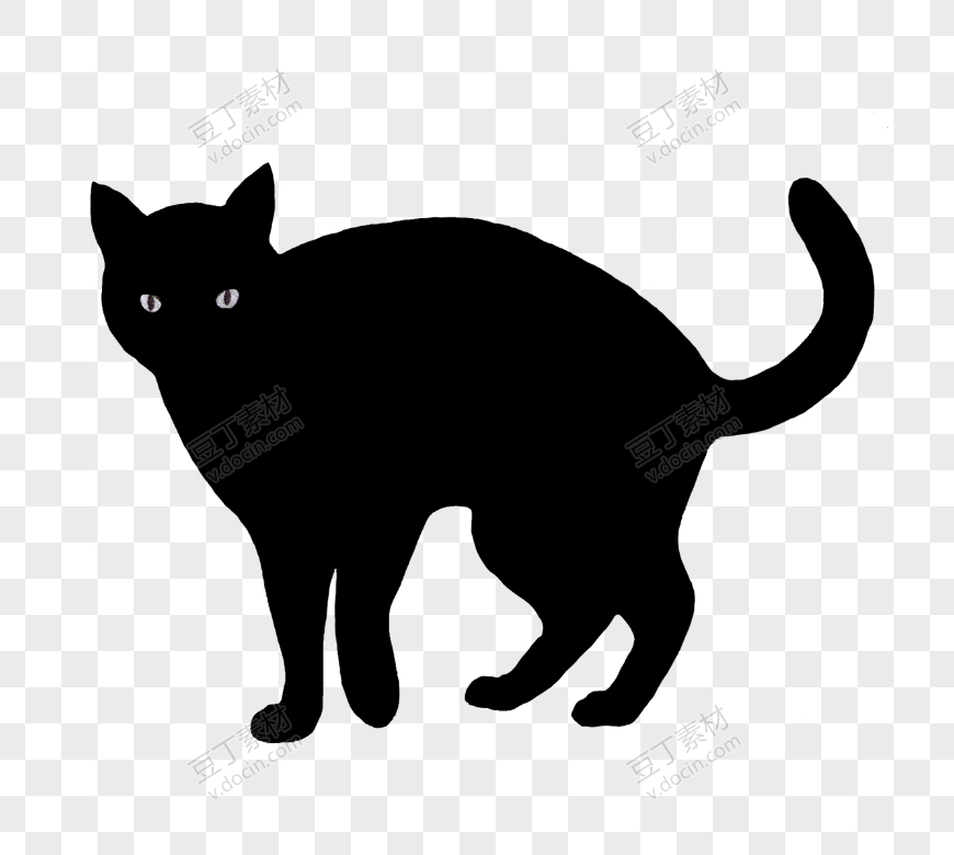 纯黑色猫咪插画