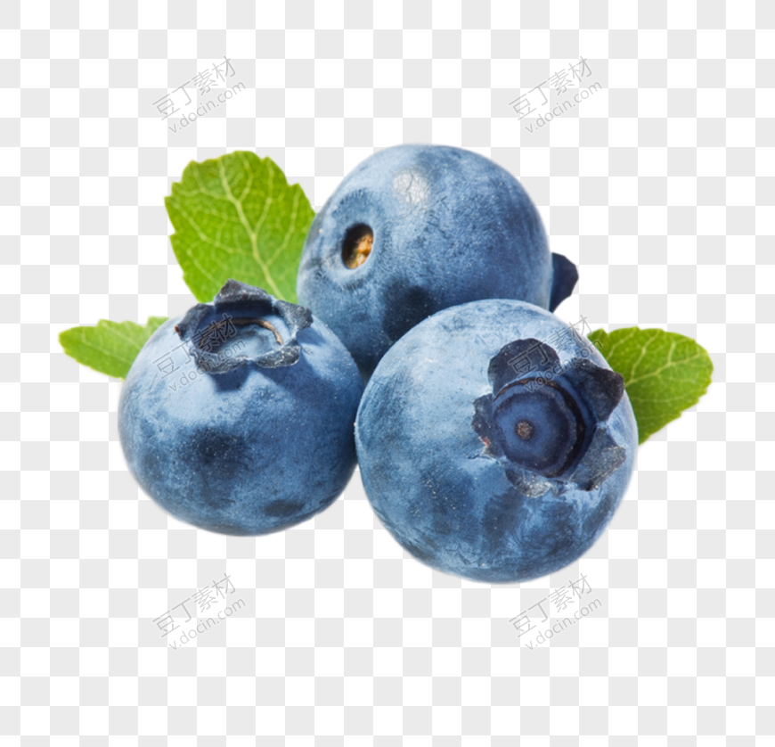水果果实蓝莓
