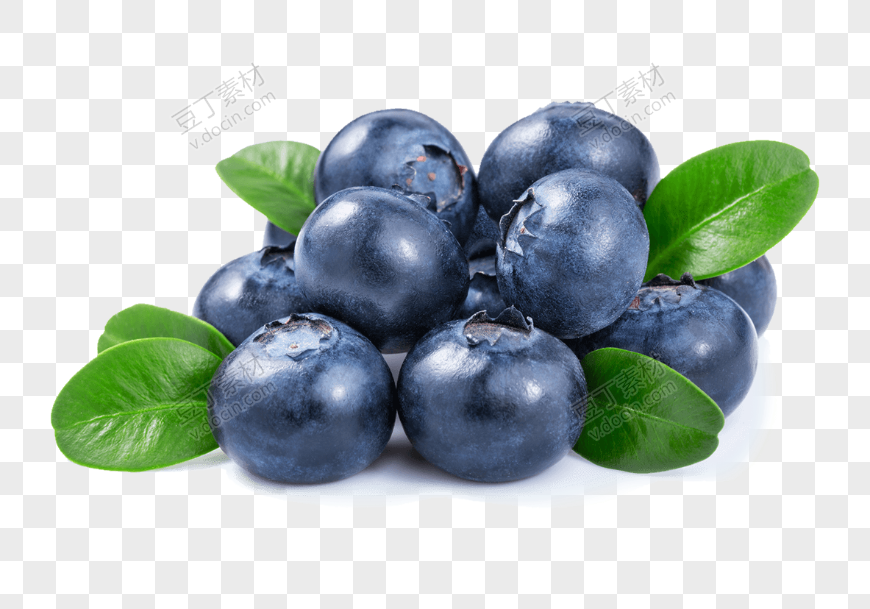 浆果蓝莓