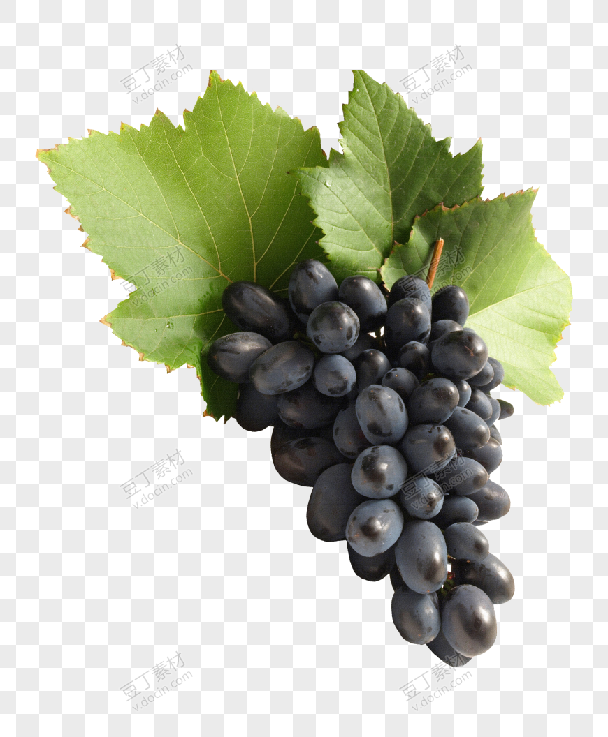 新鲜黑提葡萄